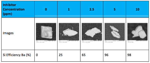 scale-protection-image-recognition-test-restb